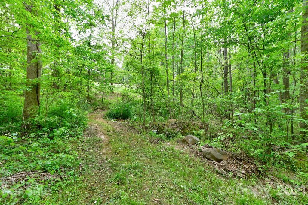 265 Deer Road Salisbury, NC 28146 - Photo 44 of 48 a view of a lush green forest