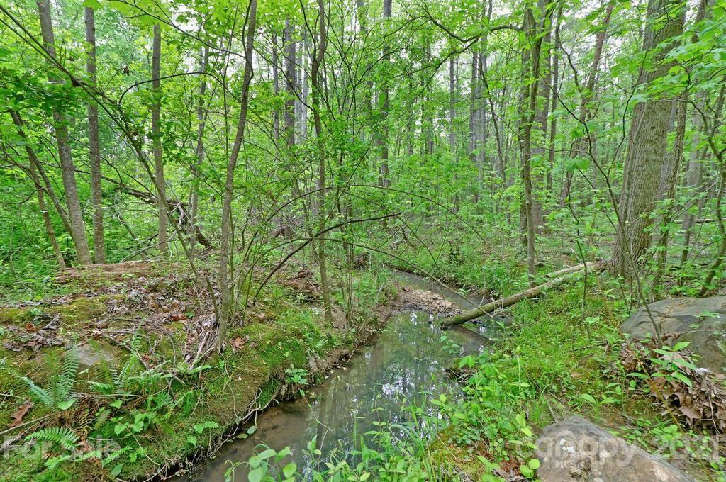 265 Deer Road Salisbury, NC 28146 - Photo 45 of 48 a view of a lush green forest