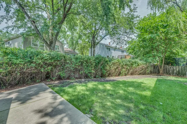 a view of a backyard with plants and large trees