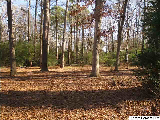 1621 2nd Street Northeast Birmingham, AL 35215 - Photo 3 of 15