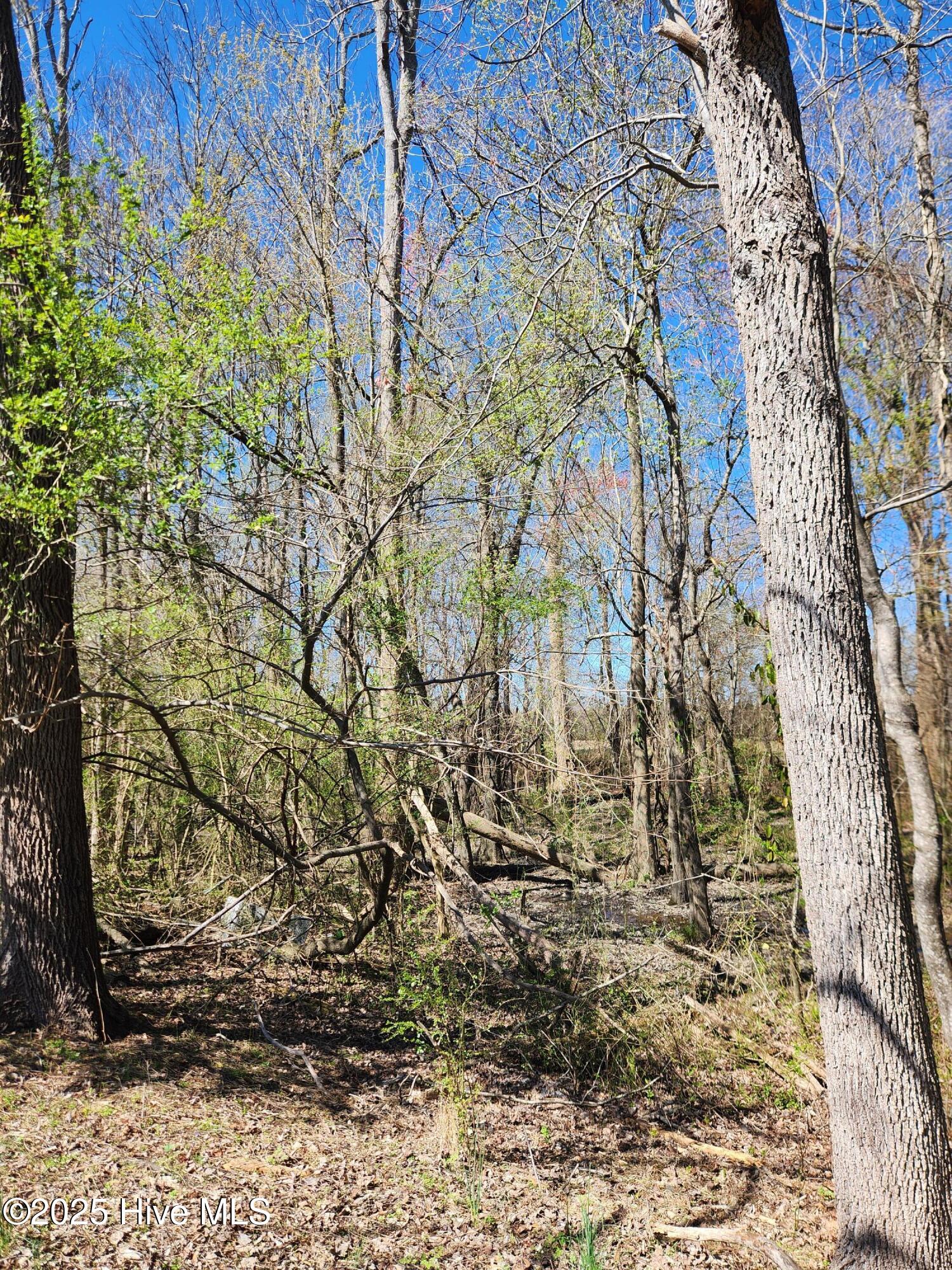 10355 Cherry Run Road Greenville, NC 27834 - Photo 38 of 41 1000003914