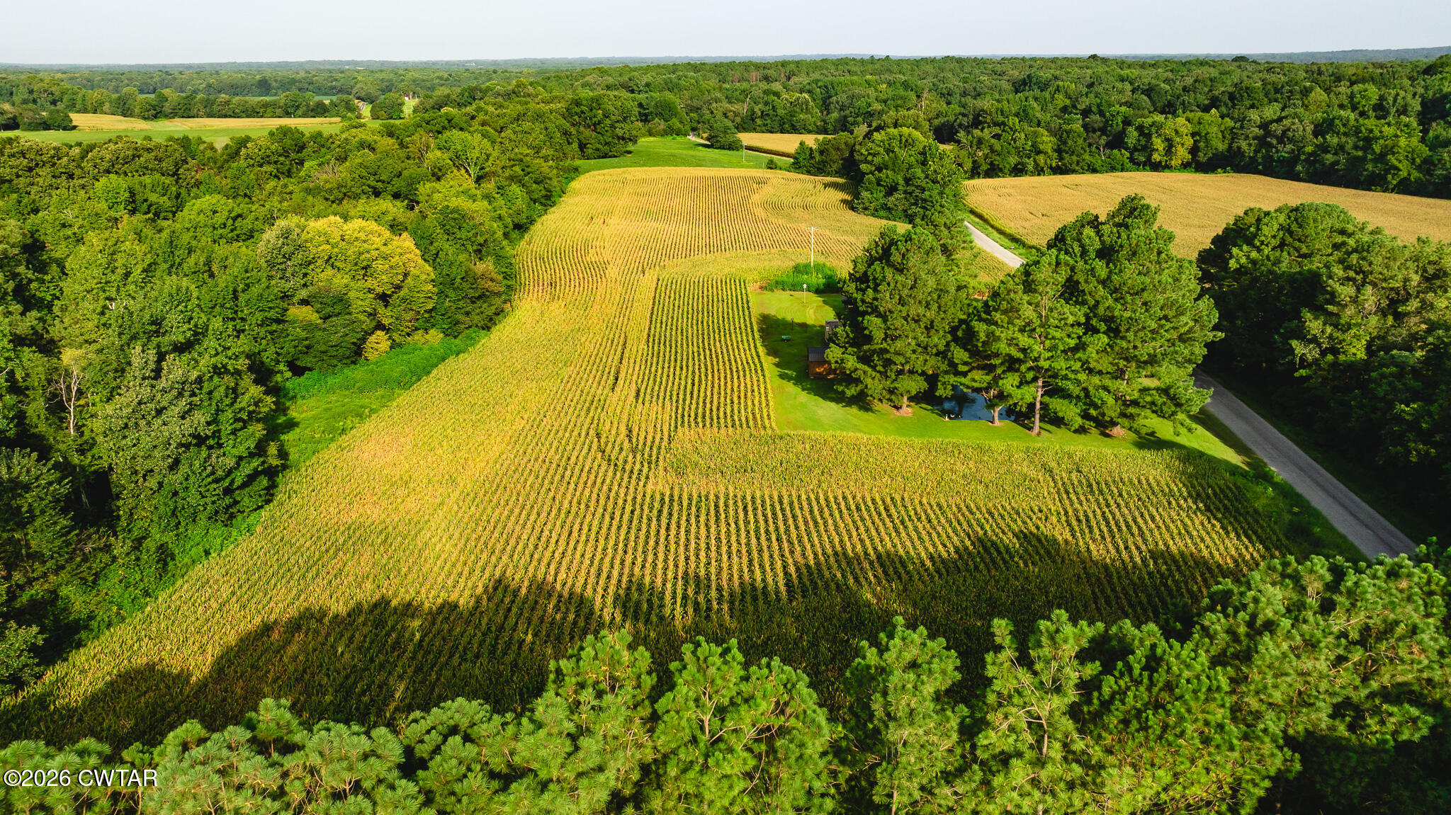 4500 Austin Springs Road Dukedom, TN 38226 - Photo 14 of 22 DJI_20260815154712_0038_D