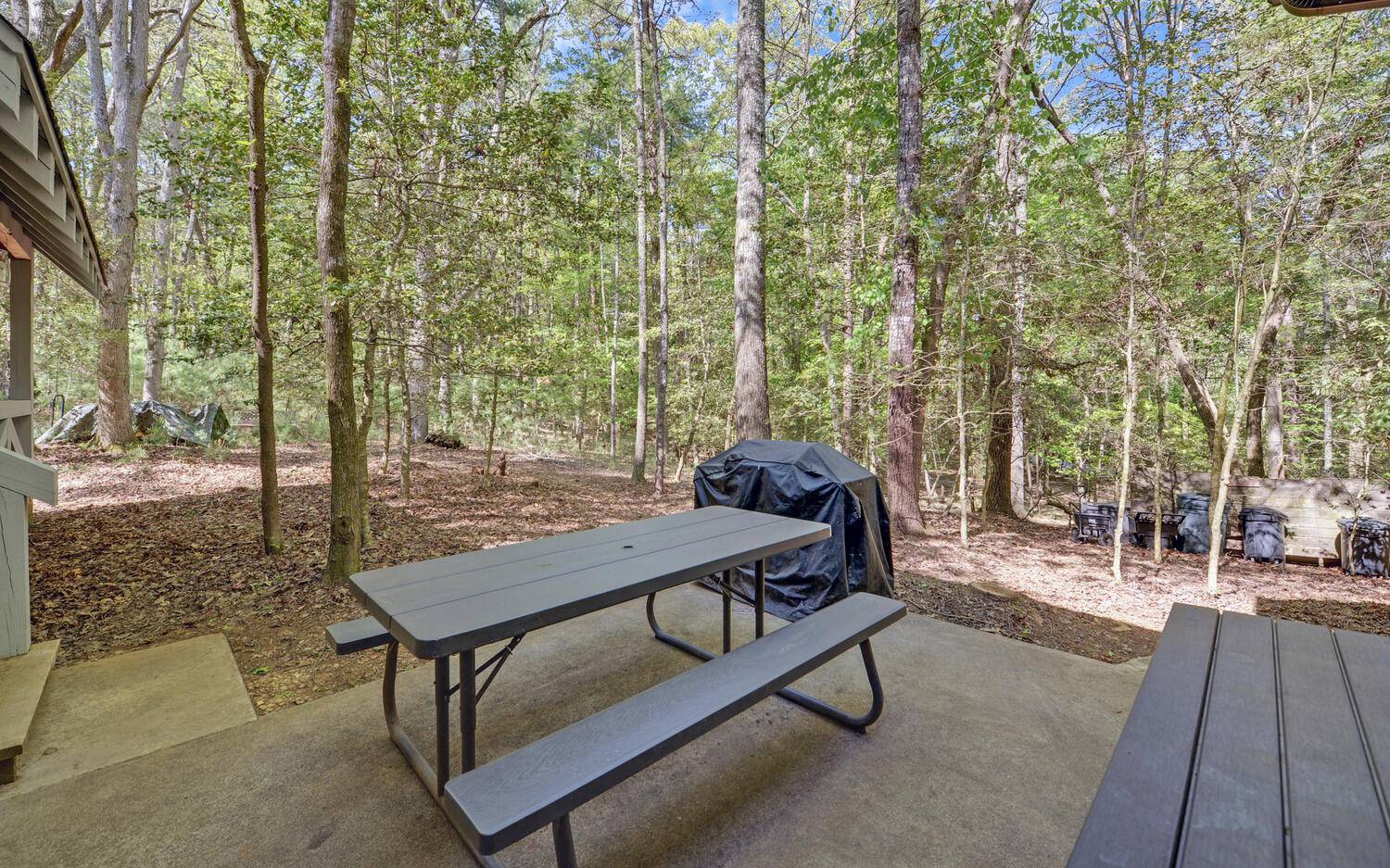 45 Holly Terrace Blue Ridge, GA 30513 - Photo 29 of 30 Additional View