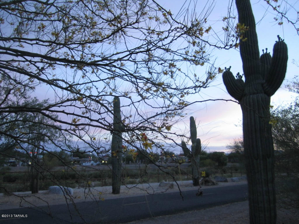 321 East Calderwood Road Tucson, AZ 85704 - Photo 25 of 31