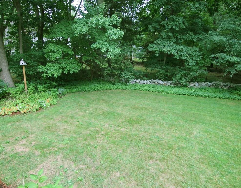 4 Paddock Lane Lexington, MA 02421 - Photo 25 of 25 a view of a green yard