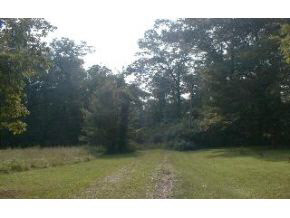 1762 South Garrison Chapel Road Bloomington, IN 47403 - Photo 1 of 8 Gallery Image 1