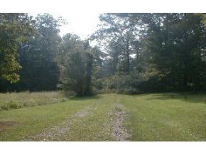 1762 South Garrison Chapel Road Bloomington, IN 47403 - Photo 7 of 8 Gallery Image 7