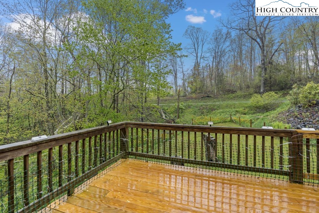 3564 Hickory Nut Gap Road Newland, NC 28657 - Photo 21 of 35 a view of a balcony with a pot