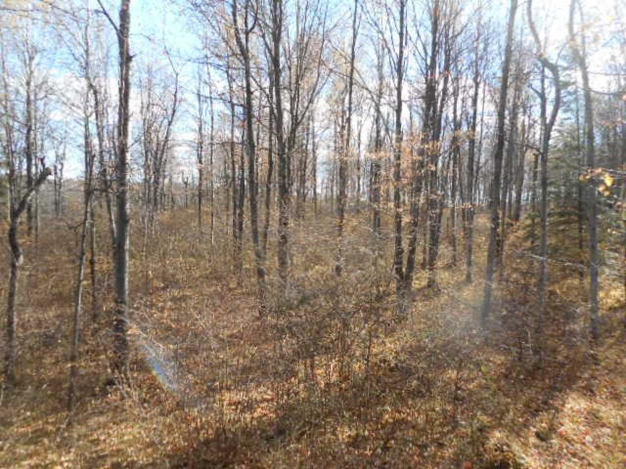 Near Near Newlin Road Brantwood, WI 54513 - Photo 6 of 13 Gallery Image 6