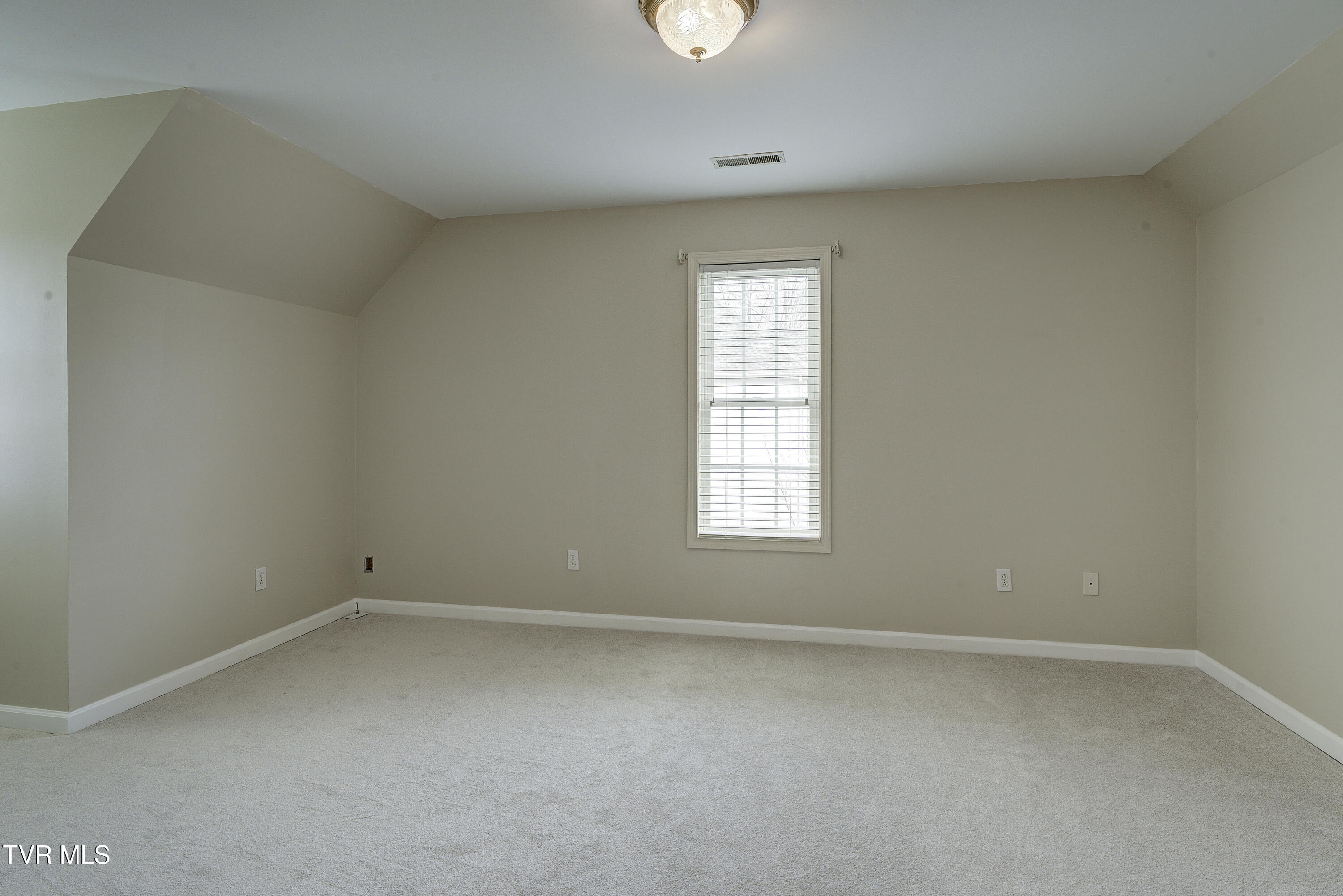 239 Brown Circle Blountville, TN 37617 - Photo 37 of 65 Brown-24