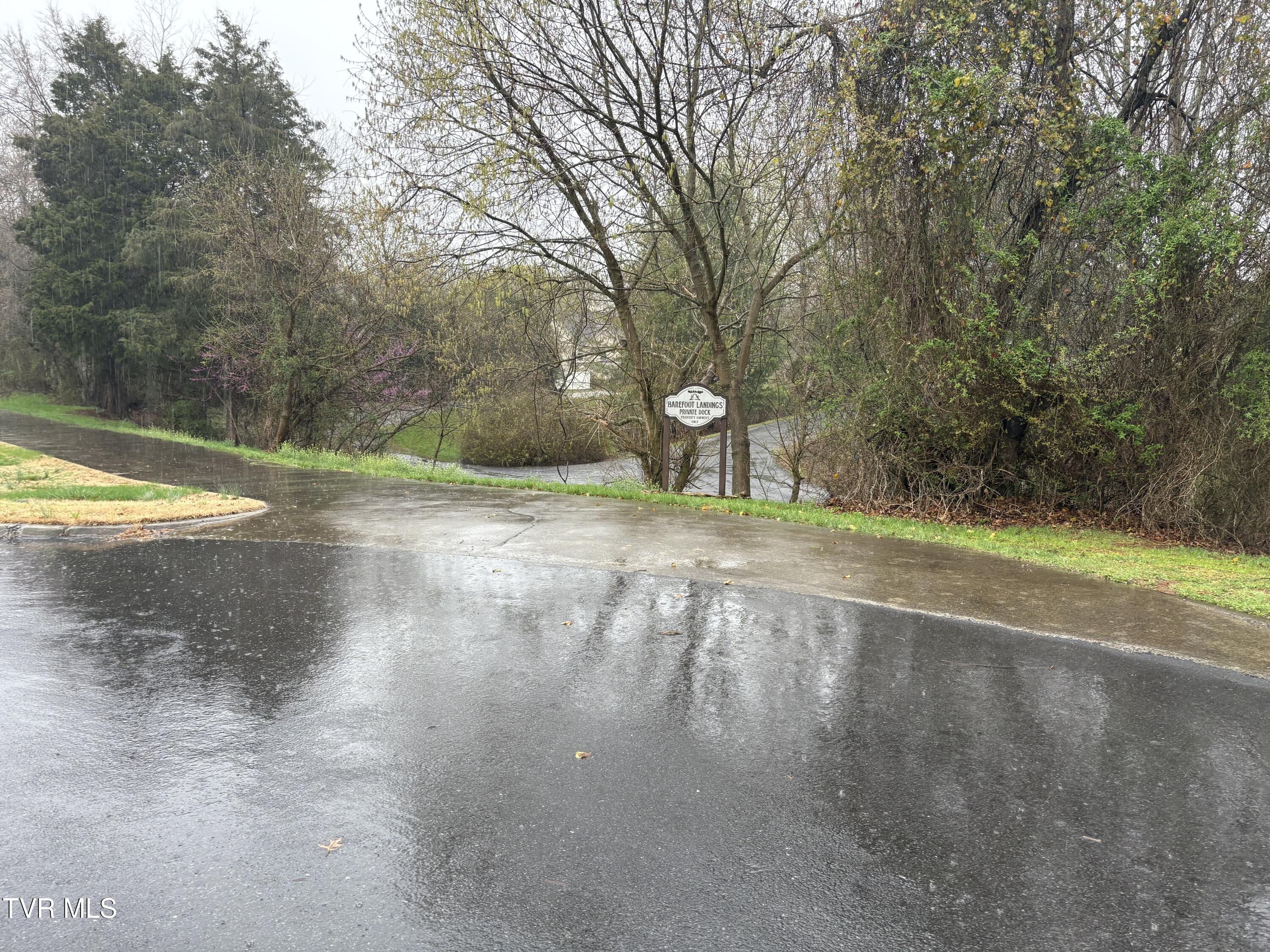 239 Brown Circle Blountville, TN 37617 - Photo 64 of 65 IMG_6738