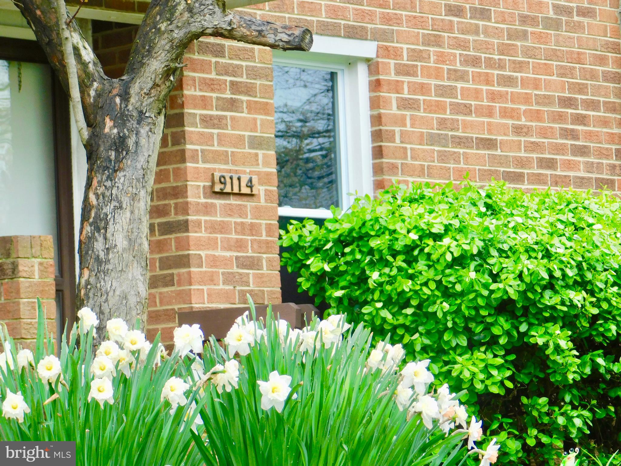 9114 Canterbury Riding, Unit 131 Laurel, MD 20723 - Photo 2 of 21 Exterior