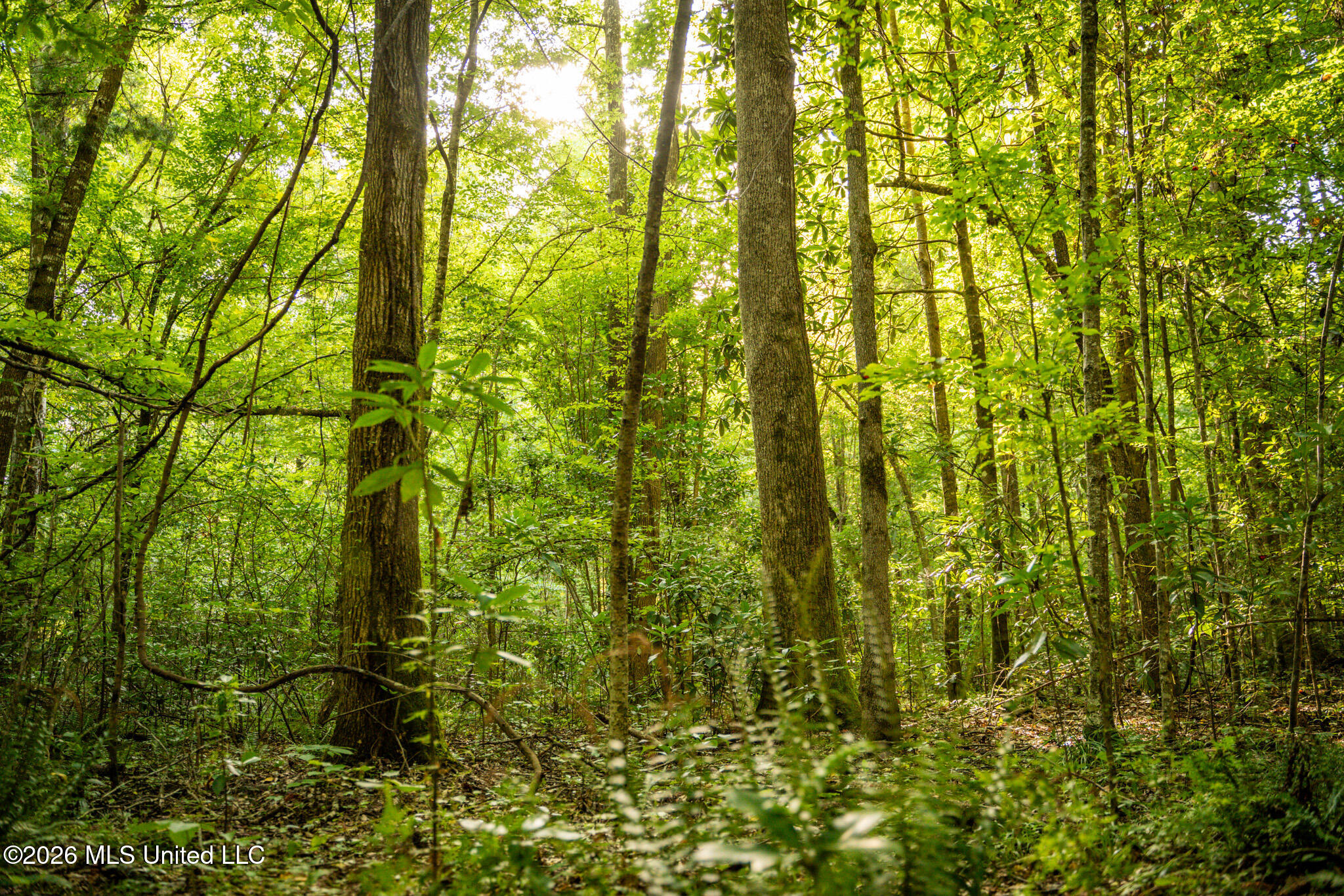 3024 Highway 84 Brookhaven, MS 39601 - Photo 62 of 74 58