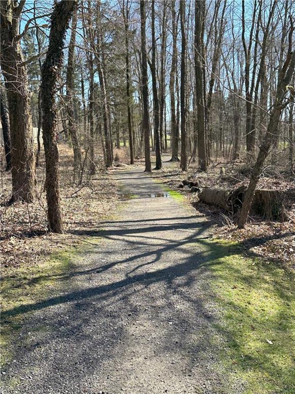 728 North Pike Road Cabot, PA 16023 - Photo 26 of 26 Laura J Doerr Memorial Park's walking trail is behind the yard.