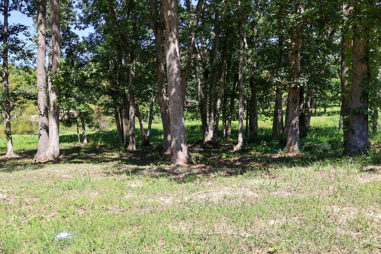 735 Druim Trail Crown Point, IN 46307 - Photo 1 of 14 a view of outdoor space with trees all around