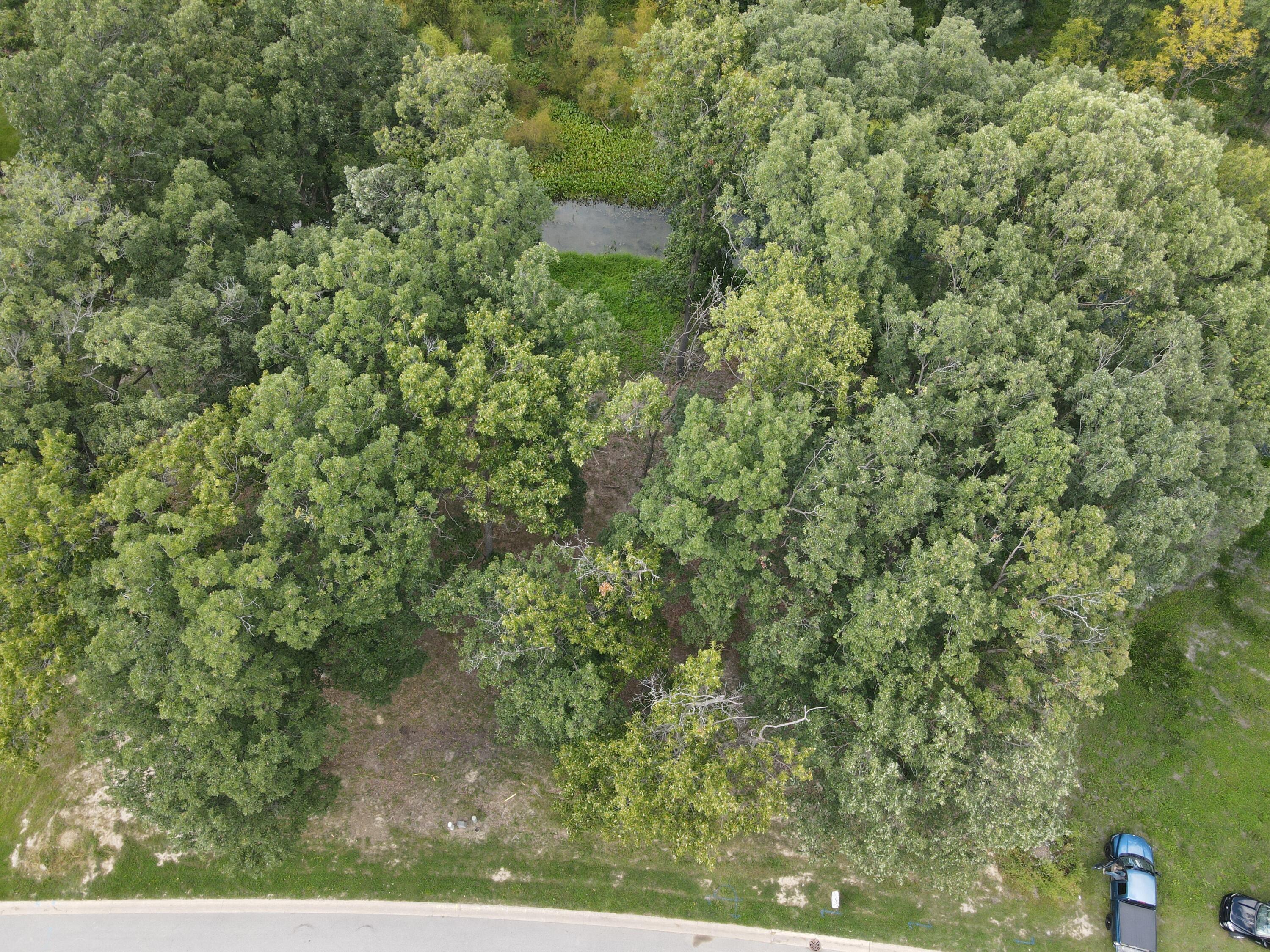 735 Druim Trail Crown Point, IN 46307 - Photo 6 of 14 a view of a yard with plants