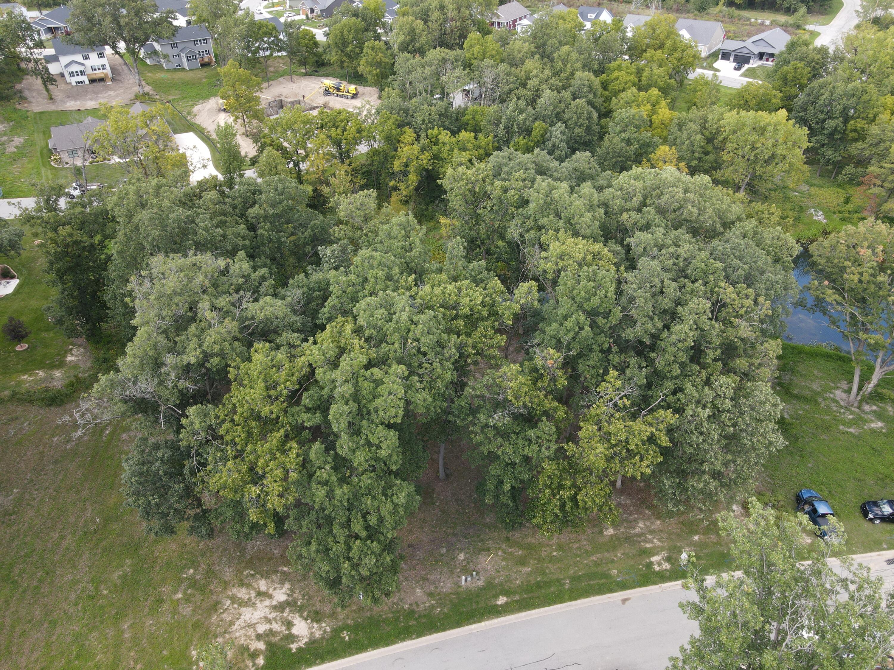 735 Druim Trail Crown Point, IN 46307 - Photo 7 of 14 a view of a lake with a yard
