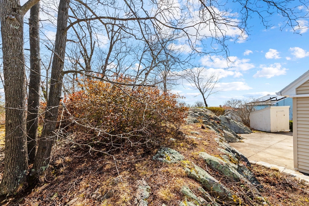 71 Woodland Road Malden, MA 02148 - Photo 37 of 41 a view of a yard of the house