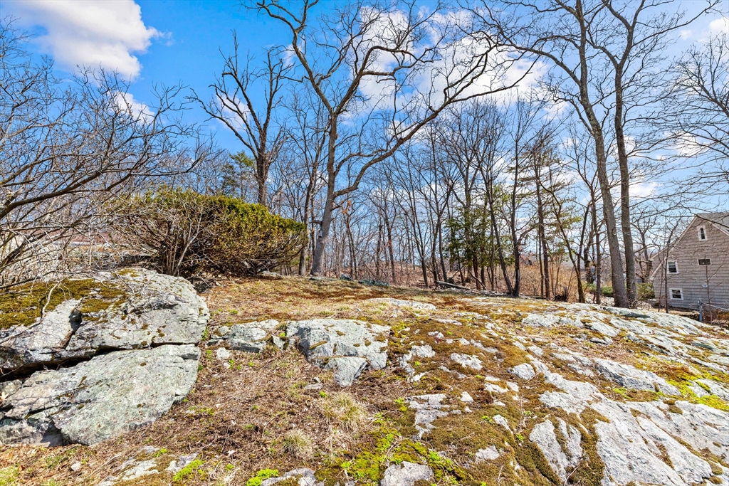 71 Woodland Road Malden, MA 02148 - Photo 38 of 41 a view of a yard covered with snow in front of house