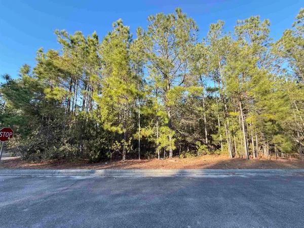 $67,500 | 153 Bridge View Road, Georgetown, SC 29440