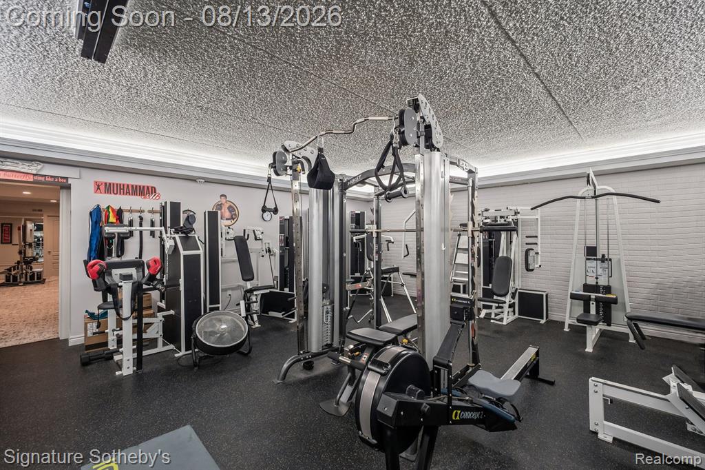 18101 Sheldon Road Northville, MI 48168 - Photo 85 of 99 Gallery Image 85
