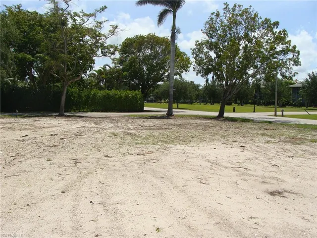 a view of a yard with a tree