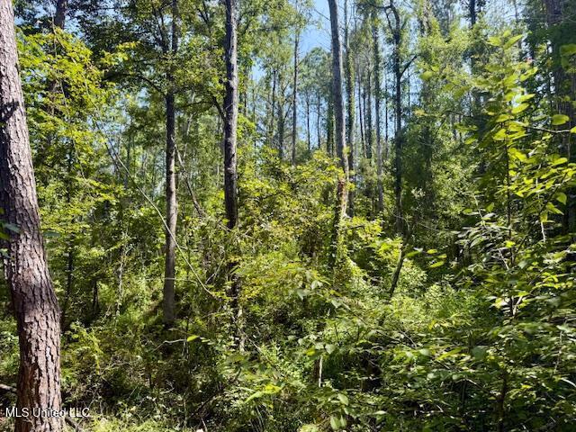 Darrington Road Crosby, MS 39633 - Photo 11 of 15 Darrington Rd Pic 11