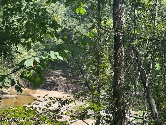Darrington Road Crosby, MS 39633 - Photo 4 of 15 Darrington Rd Pic 3