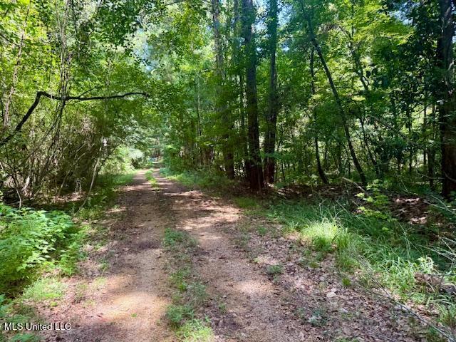 Darrington Road Crosby, MS 39633 - Photo 5 of 15 Darrington Rd Pic 5