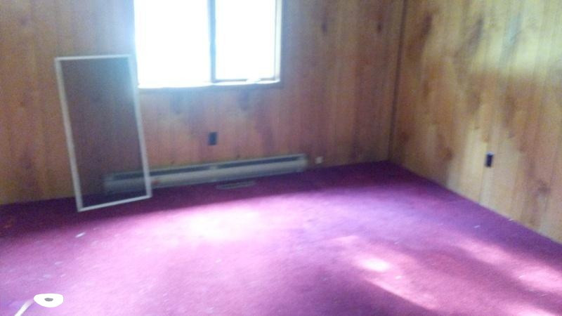 11150 North Hamilton Road Irons, MI 49644 - Photo 13 of 18 IMG_20160731_181708