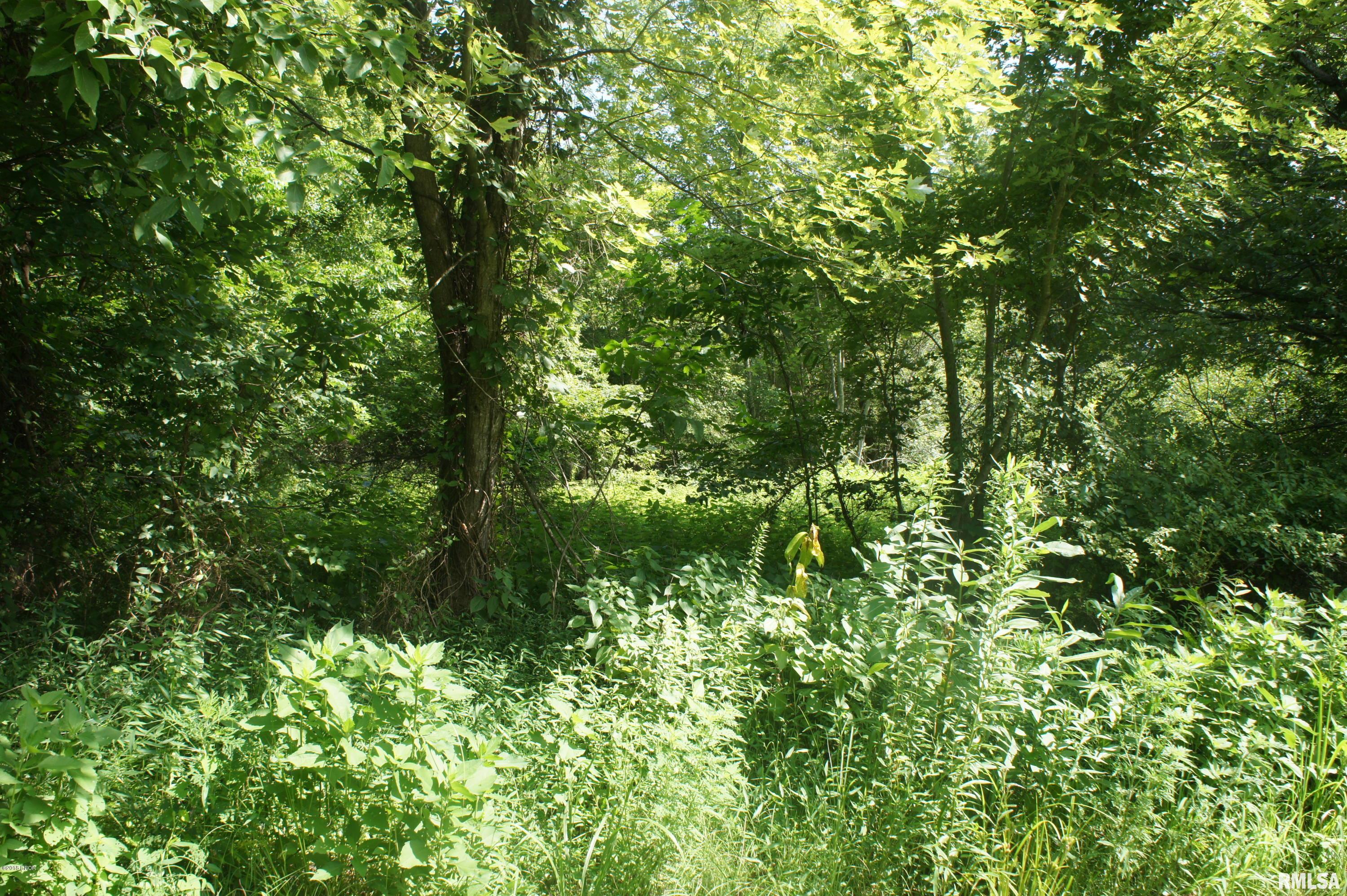 Tbd Tbd Reevesville Road Grantsburg, IL 62943 - Photo 1 of 6 Gallery Image 1