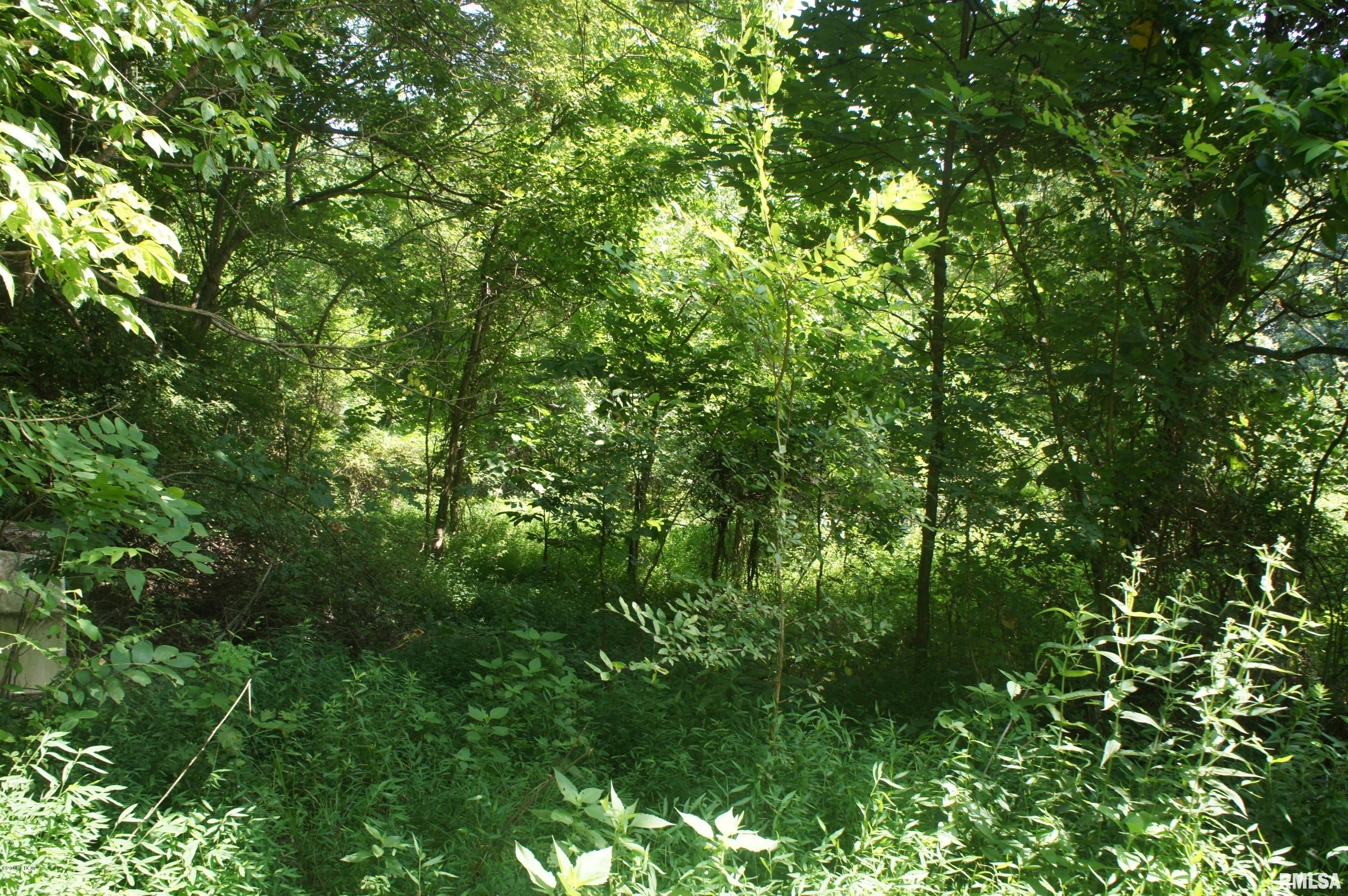 Tbd Tbd Reevesville Road Grantsburg, IL 62943 - Photo 3 of 6 Gallery Image 3