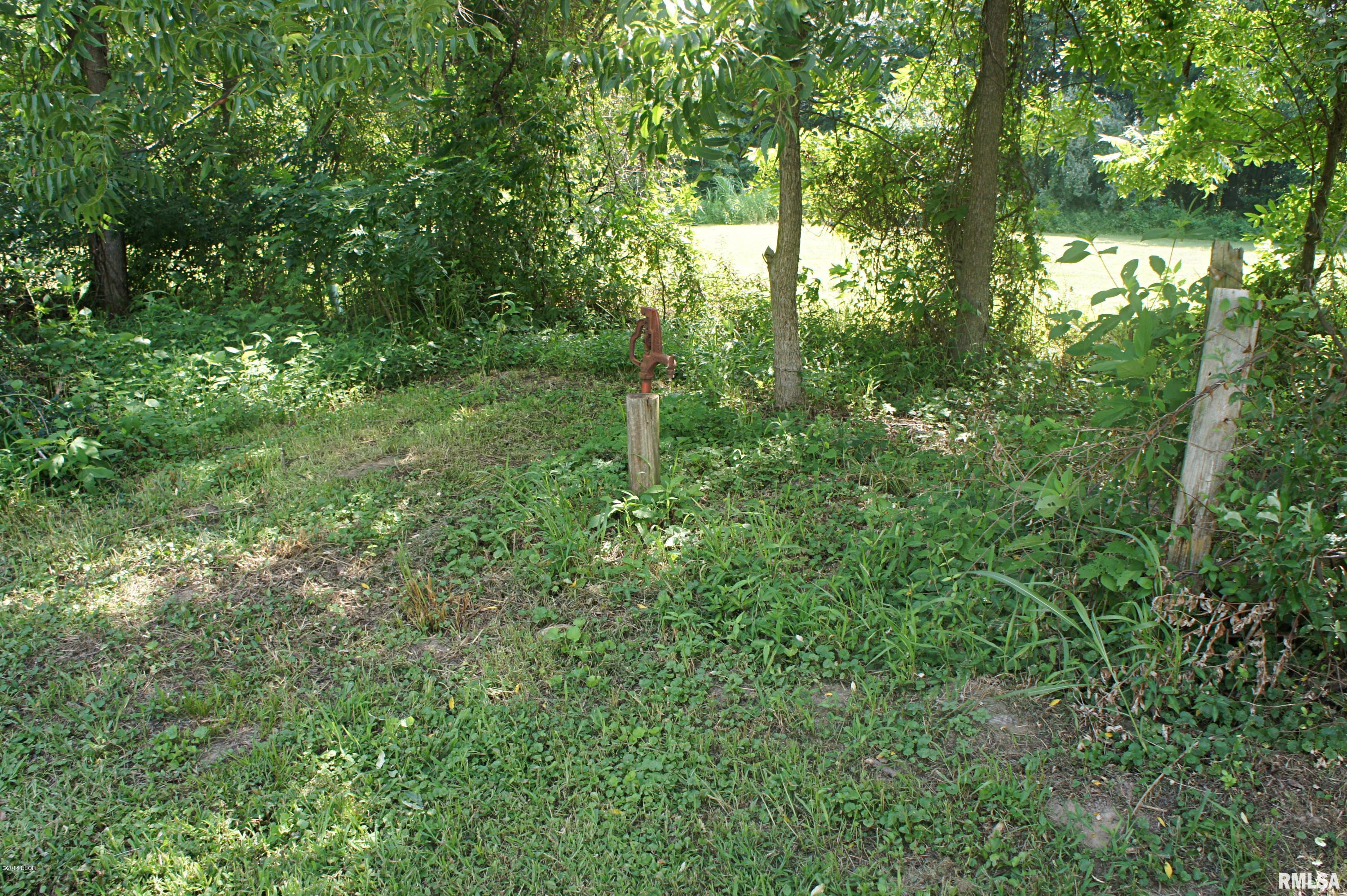 Tbd Tbd Reevesville Road Grantsburg, IL 62943 - Photo 4 of 6 Gallery Image 4
