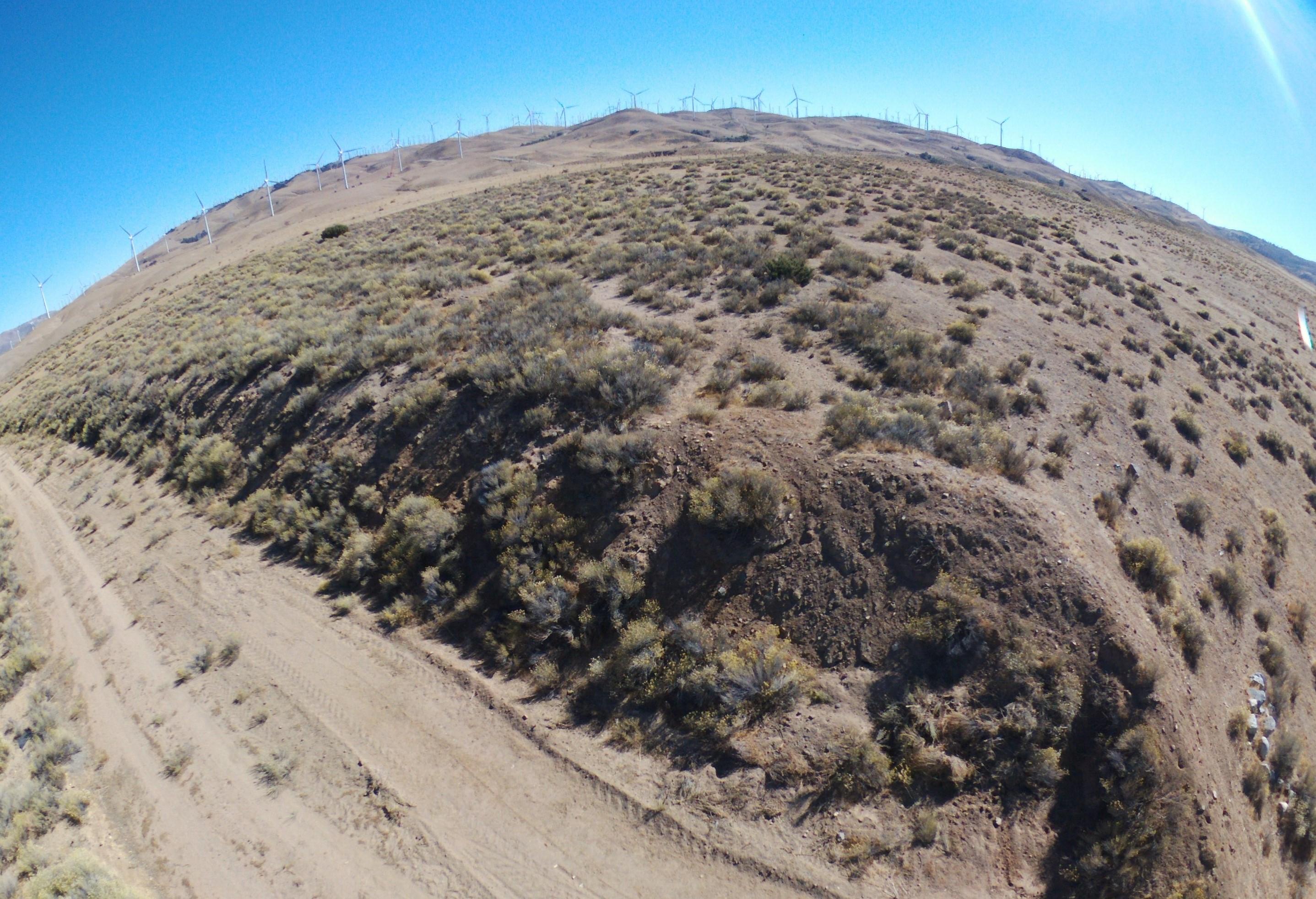 Dennison Tehachapi, CA 93561 - Photo 2 of 9 a view of a field