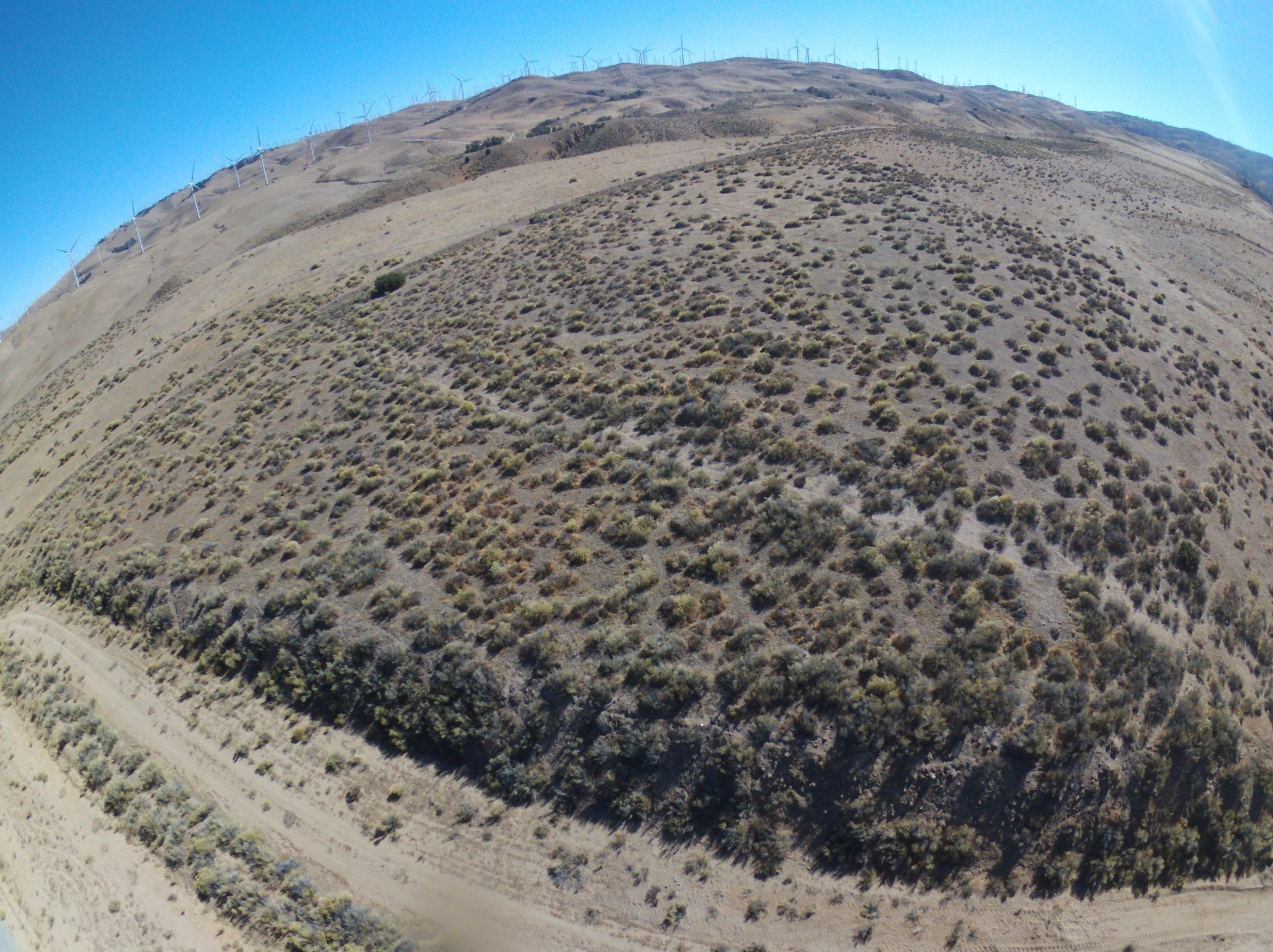 Dennison Tehachapi, CA 93561 - Photo 3 of 9 a view of a dry yard