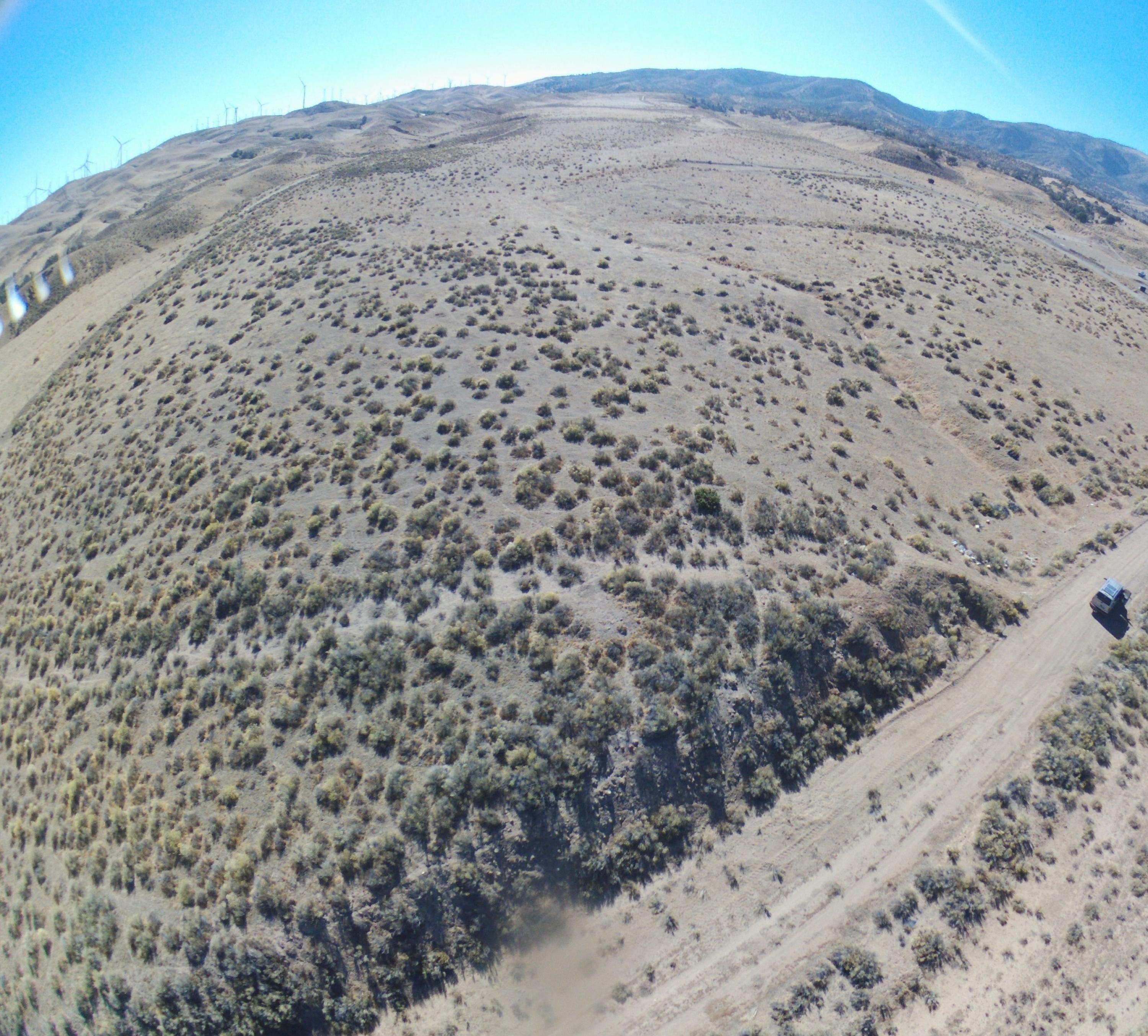 Dennison Tehachapi, CA 93561 - Photo 4 of 9 a view of a dry yard