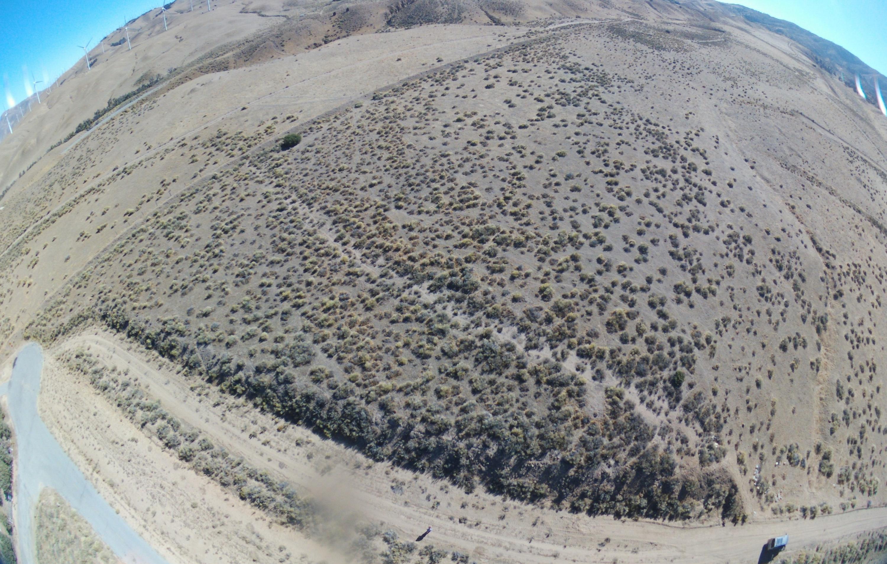 Dennison Tehachapi, CA 93561 - Photo 5 of 9
