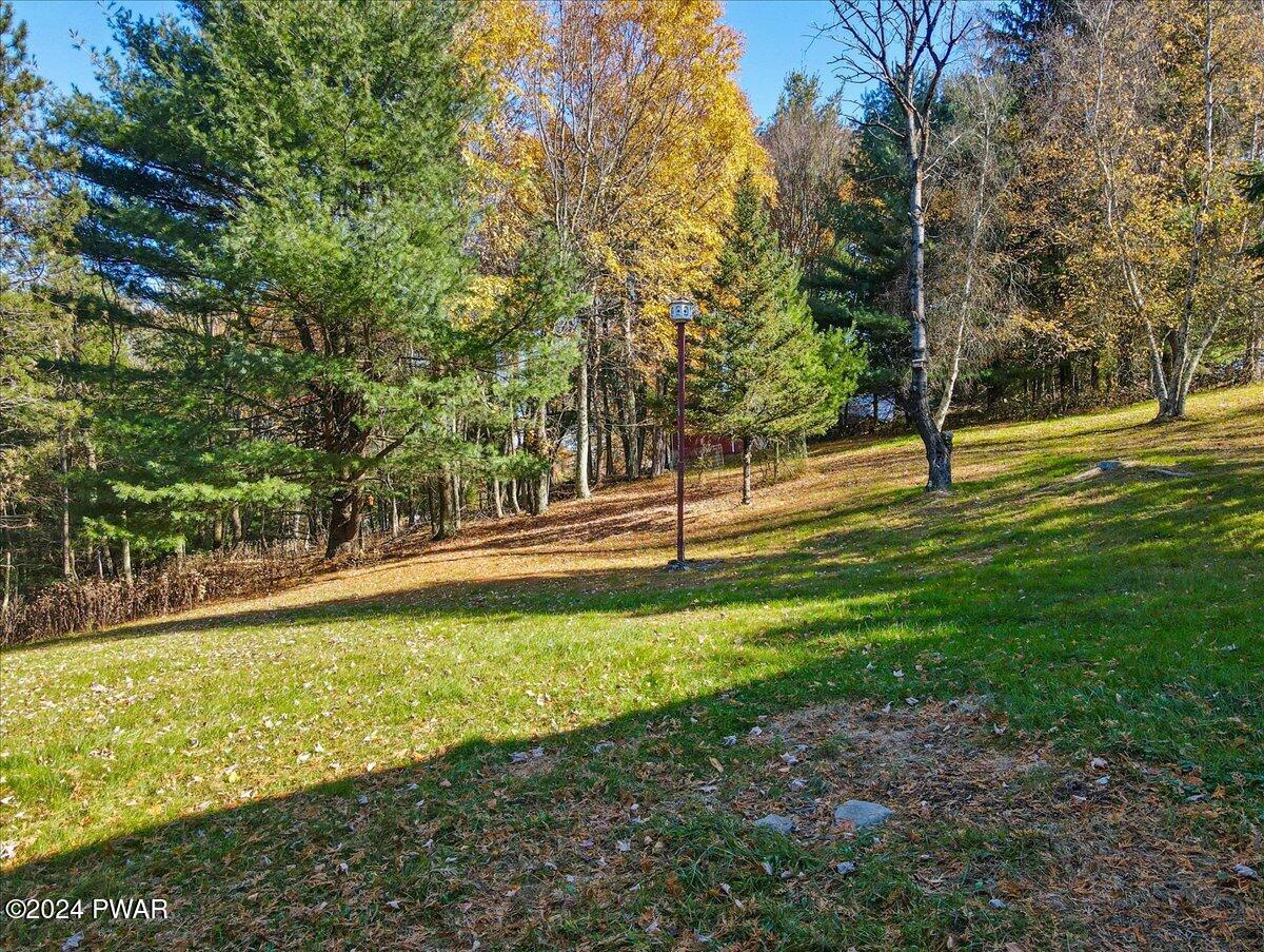 7 Alpine Rd Beach Lake Beach Lake, PA 18405 - Photo 43 of 48