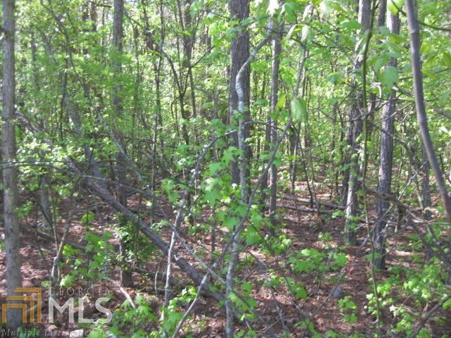 0 Mt View Road Buchanan, GA 30113 - Photo 1 of 1