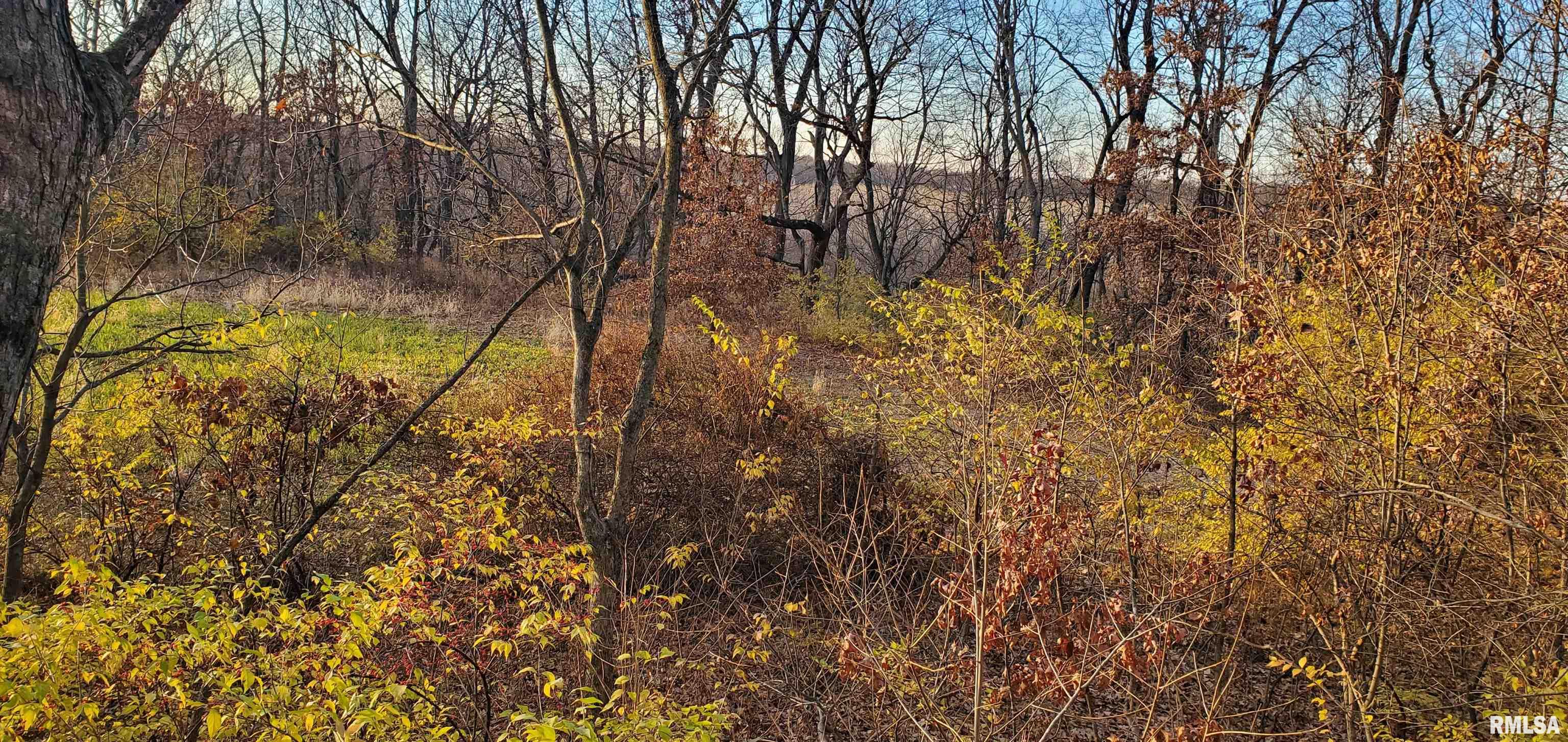 Hacke Road Shipman, IL 62685 - Photo 3 of 14