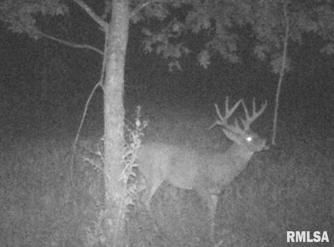 Hacke Road Shipman, IL 62685 - Photo 7 of 14