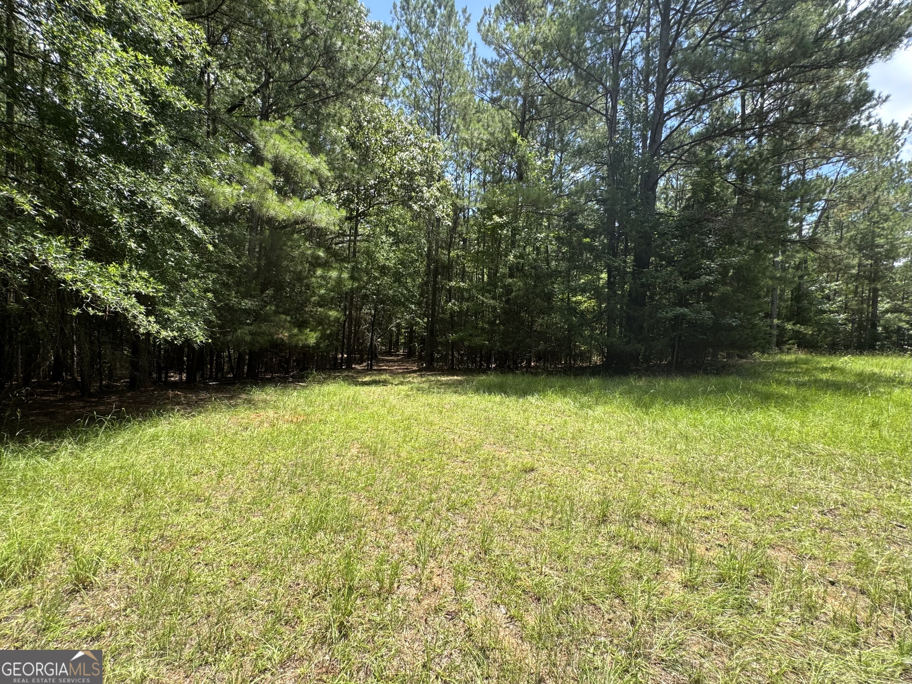 2 Roy Lawrence Road Sparta, GA 31087 - Photo 4 of 24 Gallery Image 4