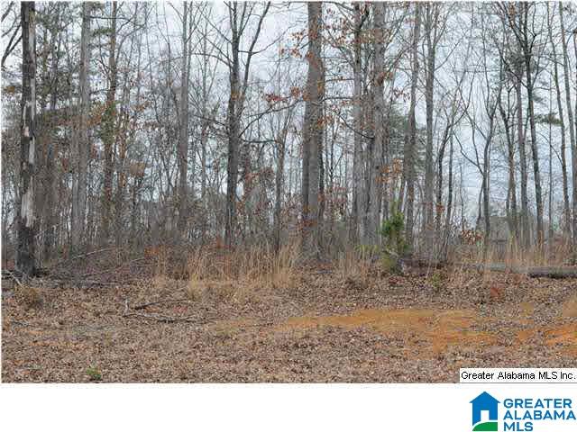 1196 17th Street, Unit 46 Pleasant Grove, AL 35127 - Photo 2 of 3