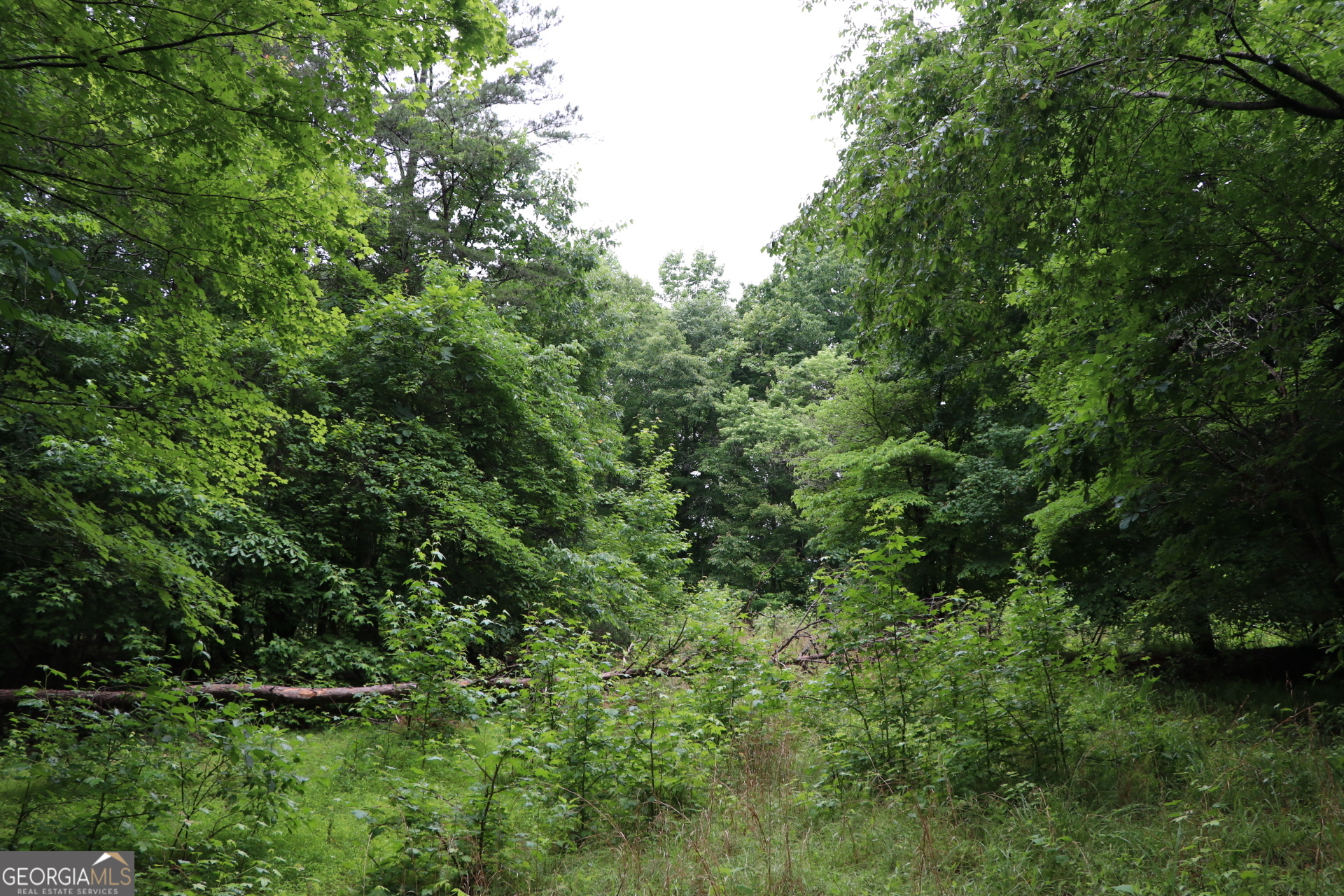 833 Neal Gap Road Summerville, GA 30747 - Photo 72 of 86