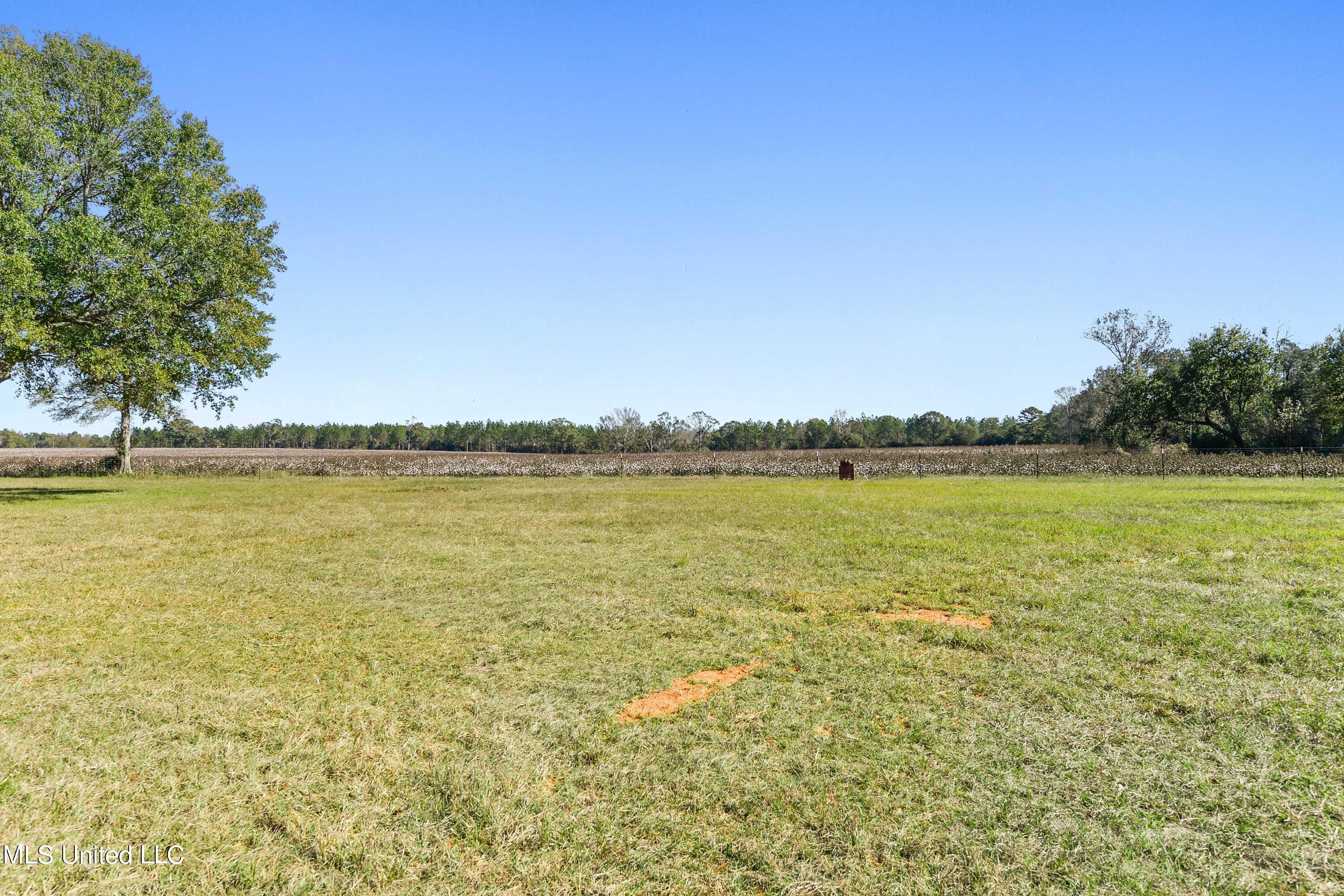 32 Rawls Road Perkinston, MS 39573 - Photo 23 of 38 023 (14)