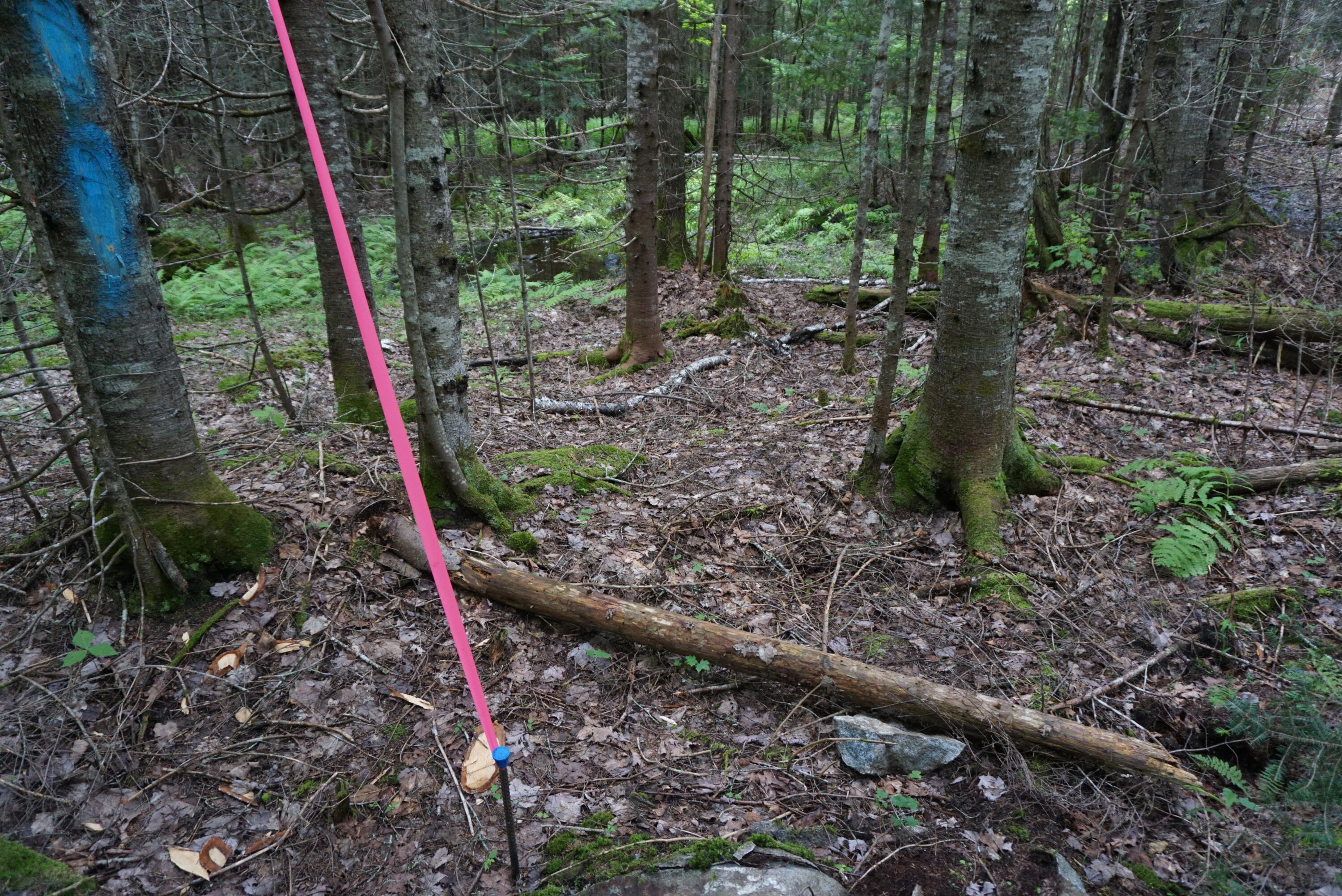 29-1 Route 15 Road Shirley Mills, ME 04485 - Photo 15 of 17 CCD132FC-D7E2-4D2C-BE6E-6B48074CA45A