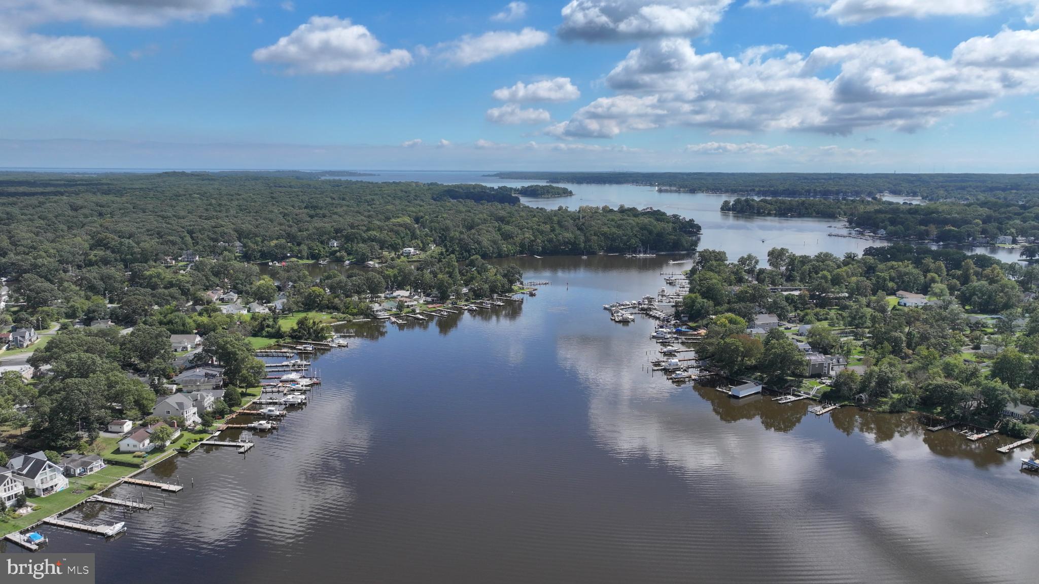 352 Riverside Drive Pasadena, MD 21122 - Photo 45 of 48 a view of a lake in middle of forest