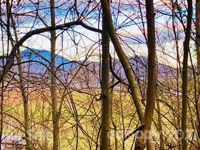 1 Higher Ground Ridge Waynesville, NC 28785 - Photo 2 of 16 Gallery Image 2