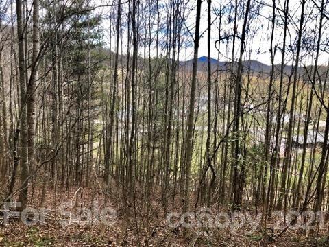 1 Higher Ground Ridge Waynesville, NC 28785 - Photo 11 of 16 Gallery Image 11