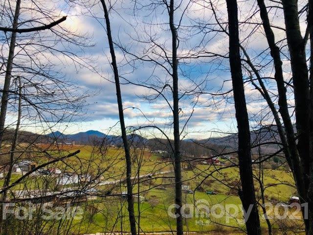 1 Higher Ground Ridge Waynesville, NC 28785 - Photo 13 of 16 Gallery Image 13